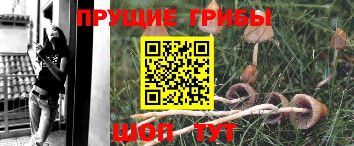 Псилоцибиновые грибы Magic Shrooms Азов